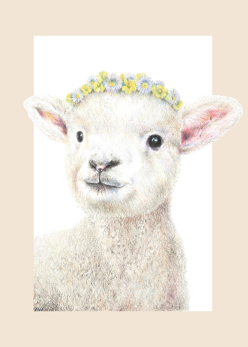Olivia Bezzett: Lamb