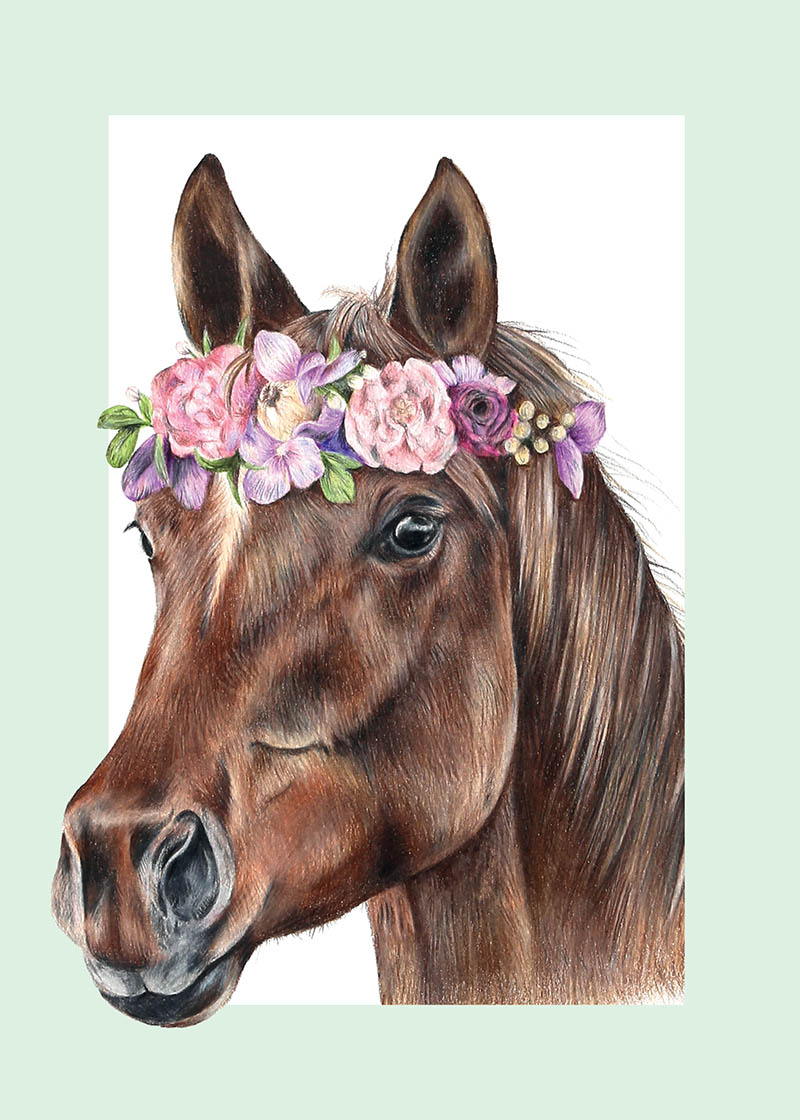 Olivia Bezzett: Horse