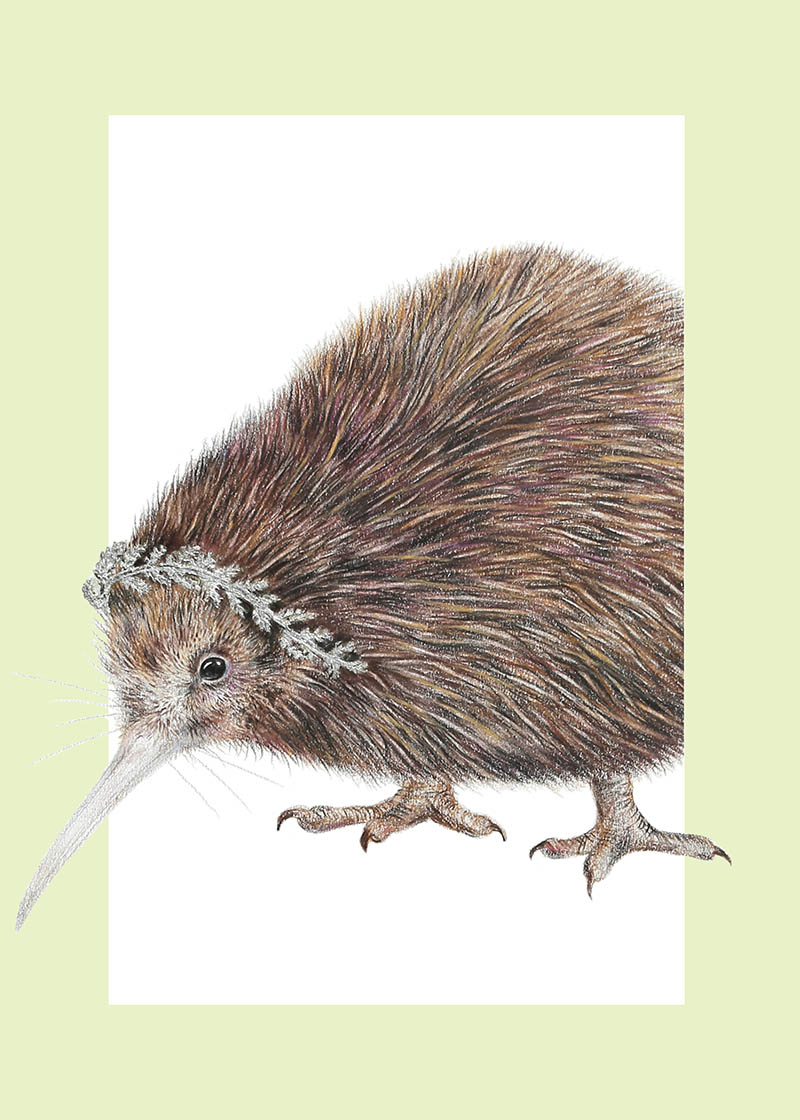 Olivia Bezzett: Kiwi