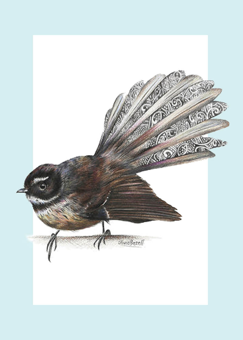 Olivia Bezzett: Fantail