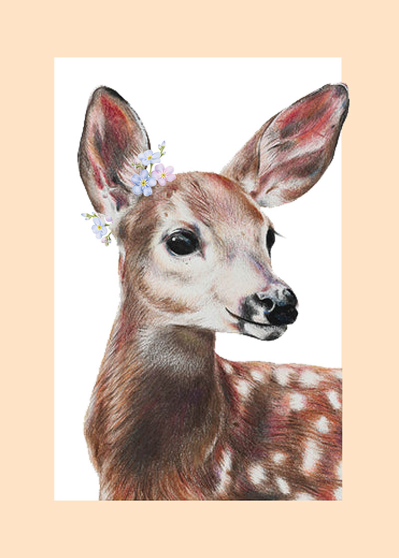 Olivia Bezzett: Deer