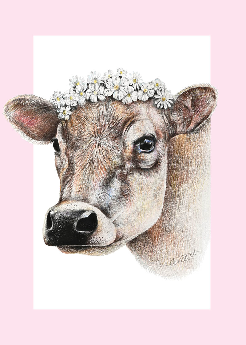 Olivia Bezzett: Cow
