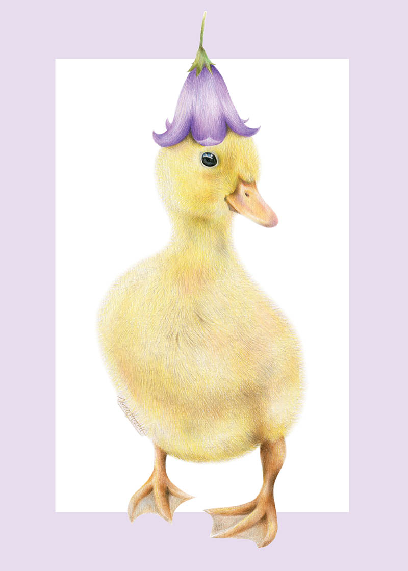 Olivia Bezzett: Duckling