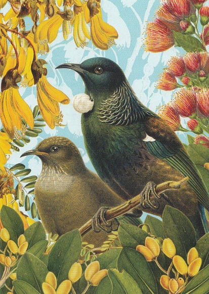 Reuben Price: Colourful Tui