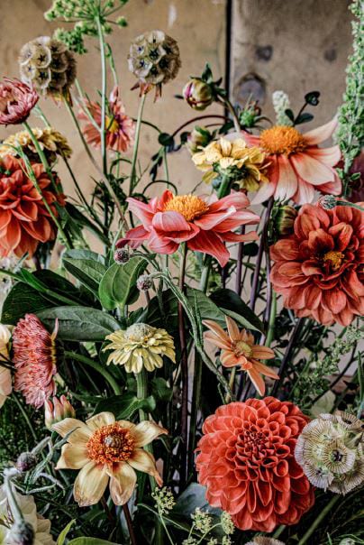 Artists Garden: Orange Flower Mix