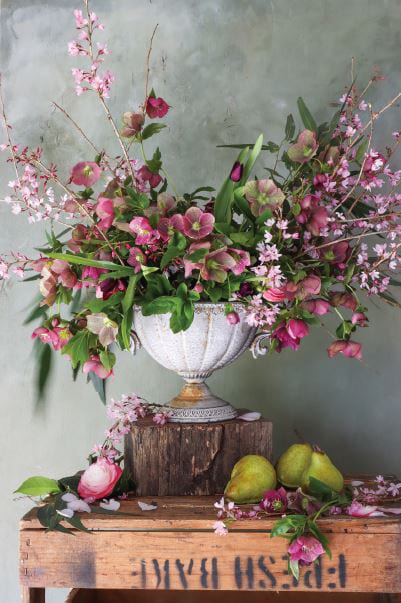 Artists Garden: Vase Pear Still Life