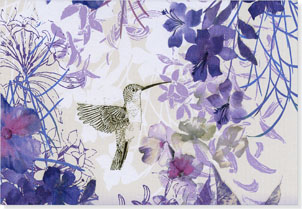 Notecards Hummingbird