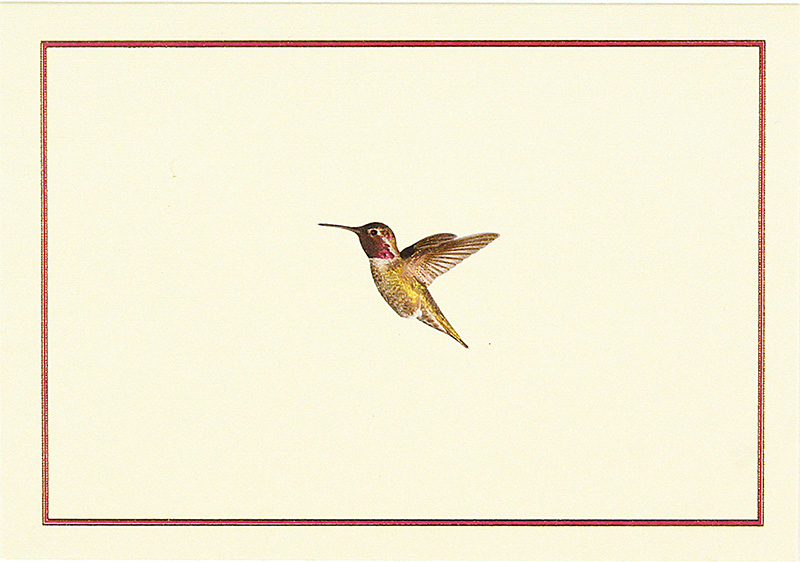 Notecards Hummingbird