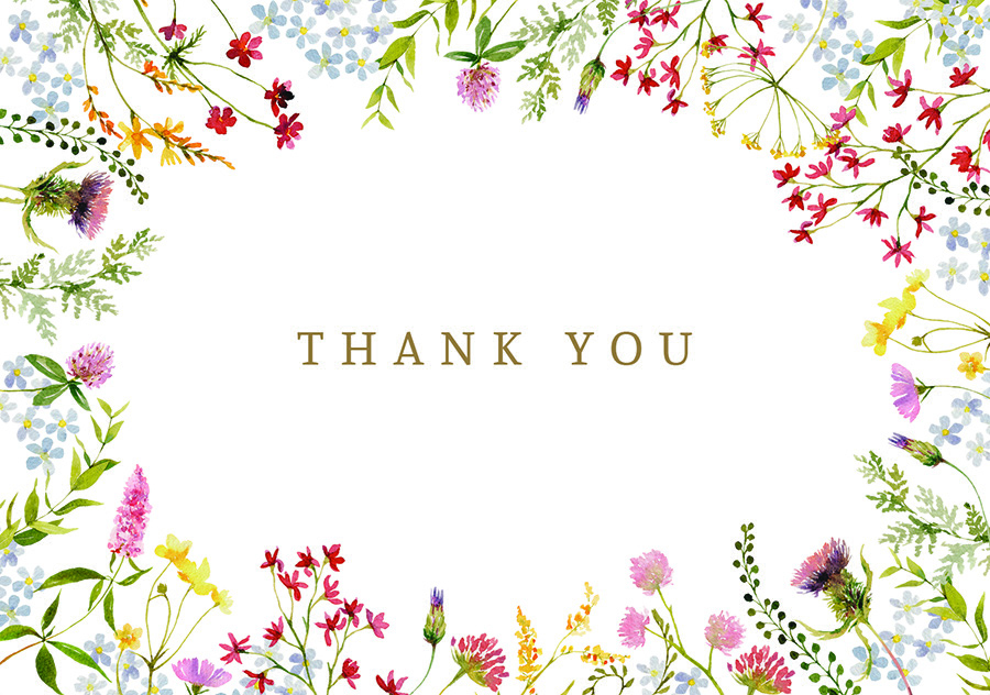 Thank You Notcards Periwinkle