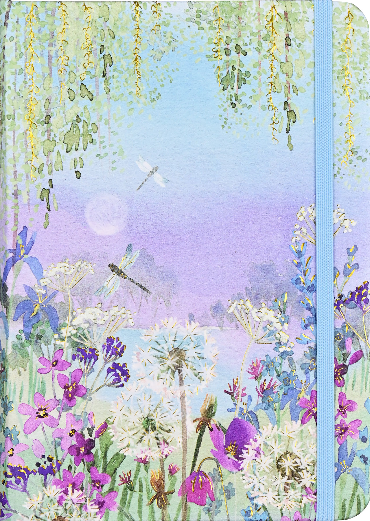 Small Journal Dragonflies And Dandelions