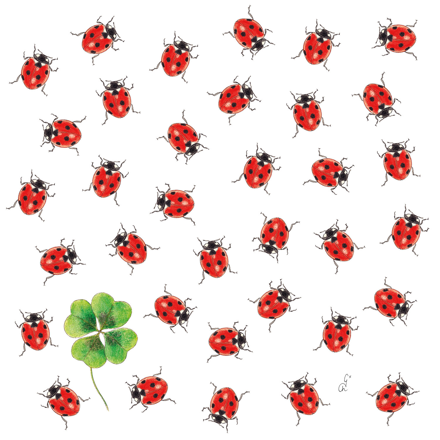 Napkin Lunch Bugs And Clover