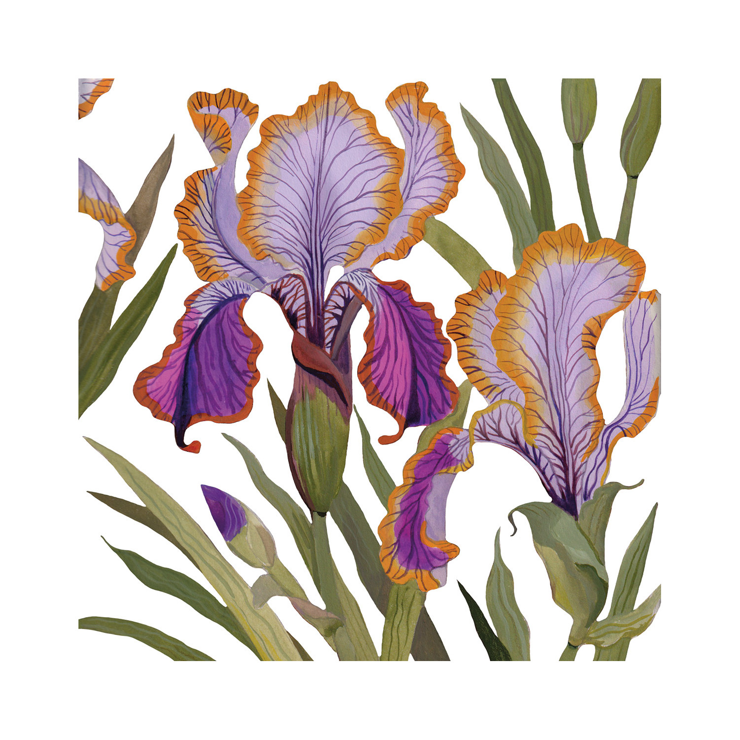 Napkin Lunch Dominique