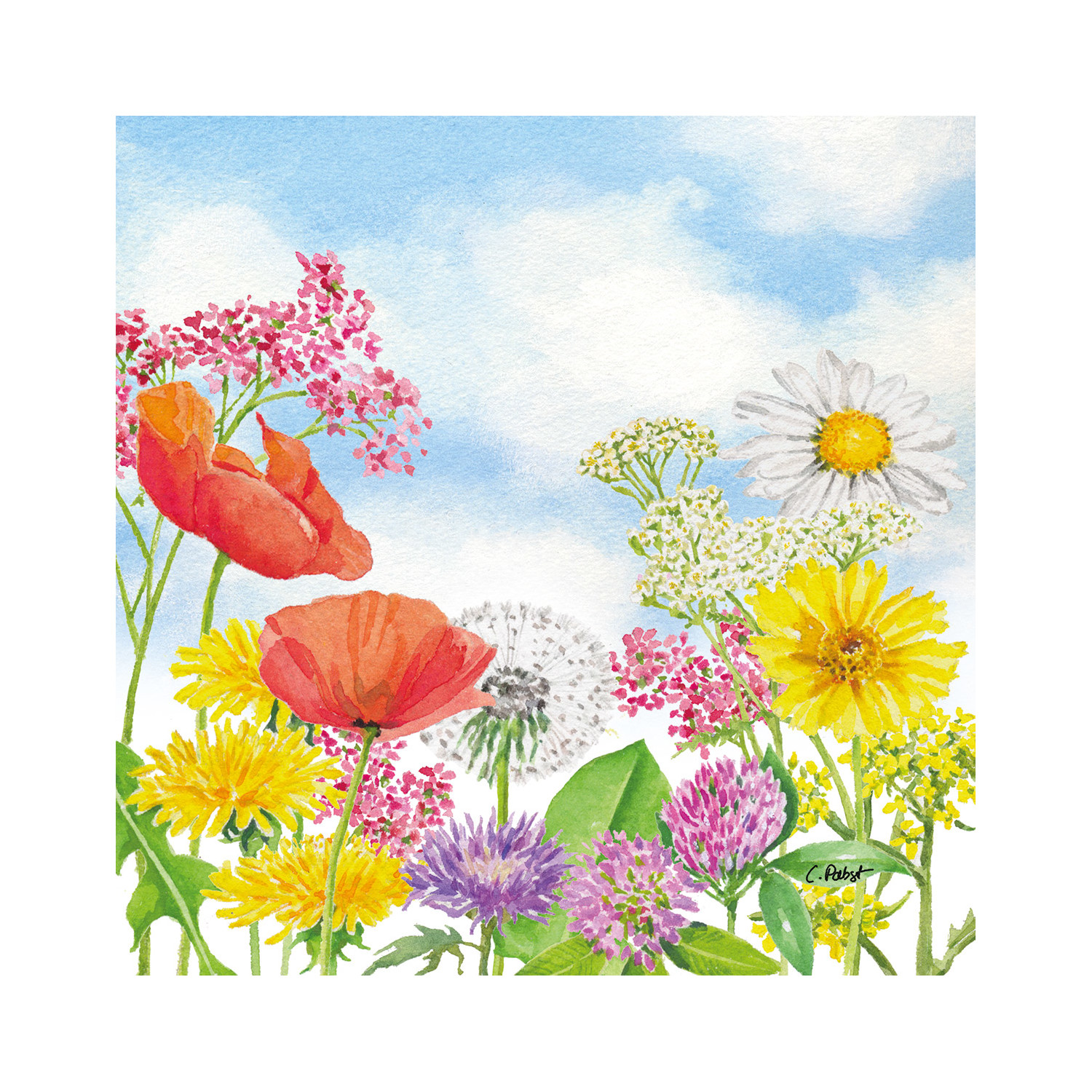 Napkin Lunch Summer Day