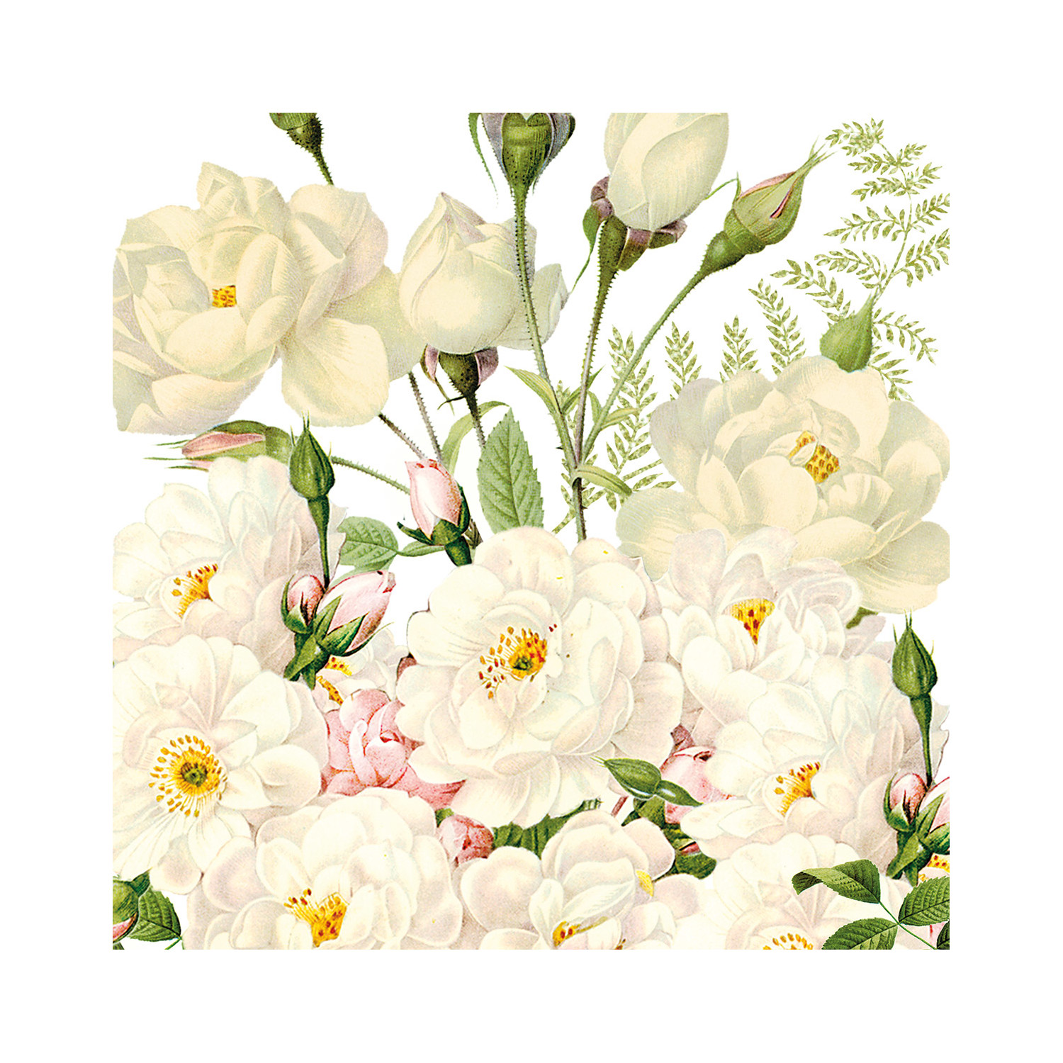 Napkin Lunch Roses Blancs