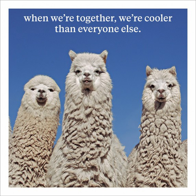 Curious World: Were Cool