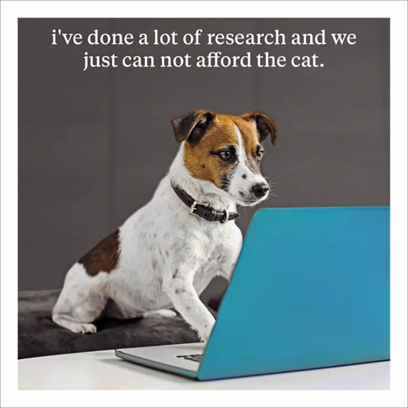 Curious World: Dog On Laptop