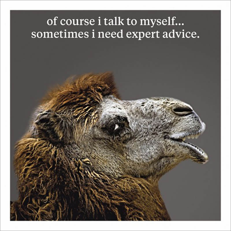 Curious World: Expert Advice