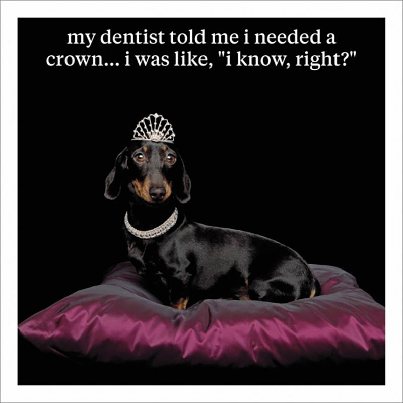 Curious World: Need A Crown