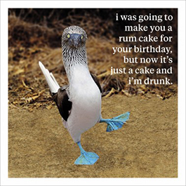 Curious World: Im Drunk