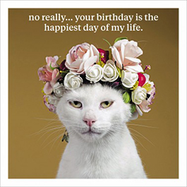 Curious World: Cat Crown