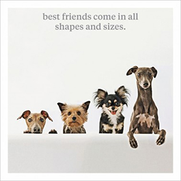 Curious World: Shapes Sizes