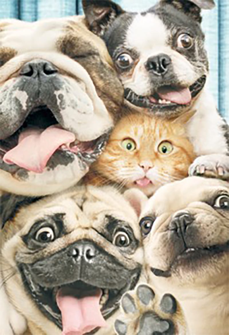 Jumbo: From All Of Us Photobooth