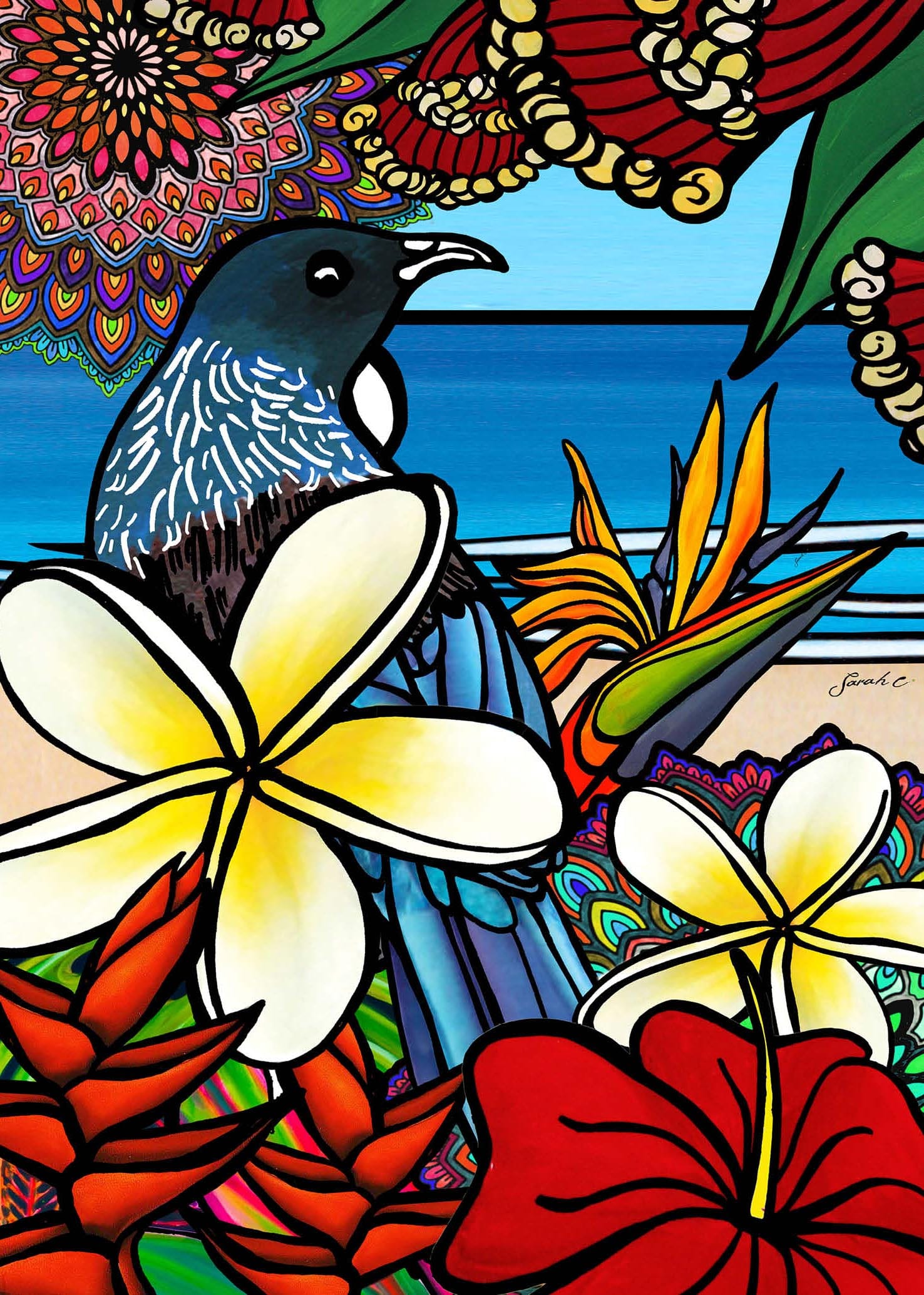 Sarah C: Bohemian Tui