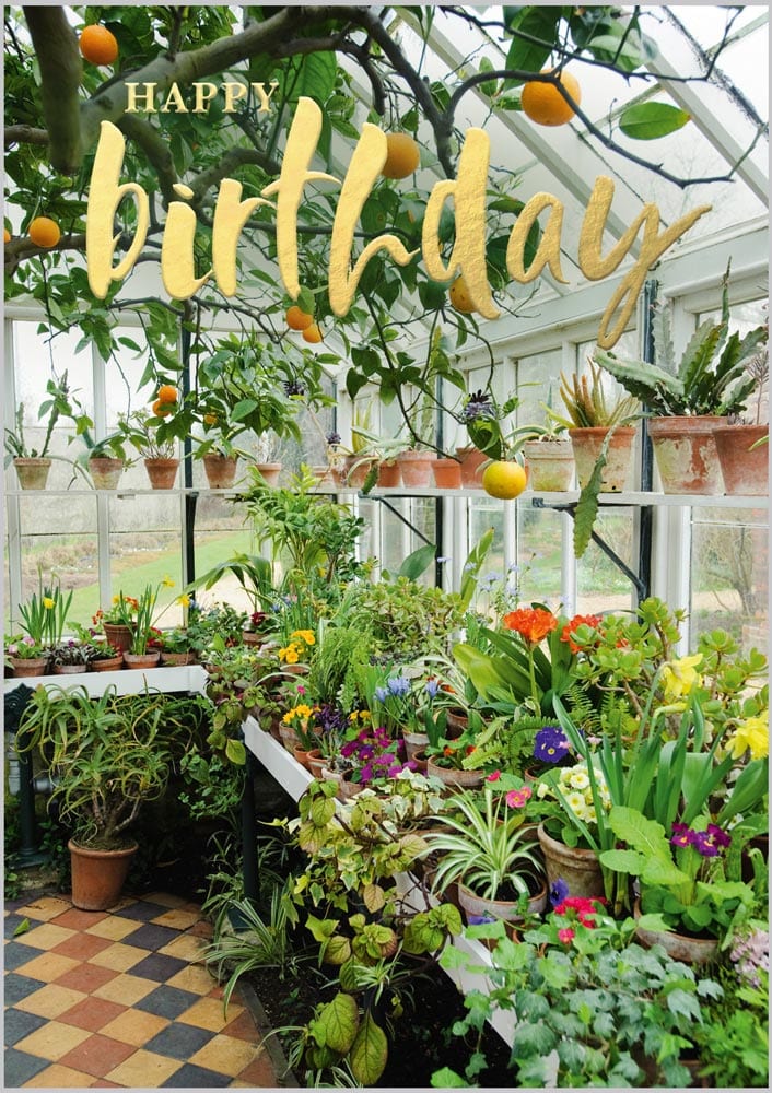 Graphite: Greenhouse