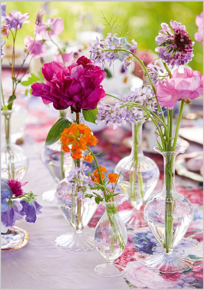Posies & Petals: Colourful Garden Blooms