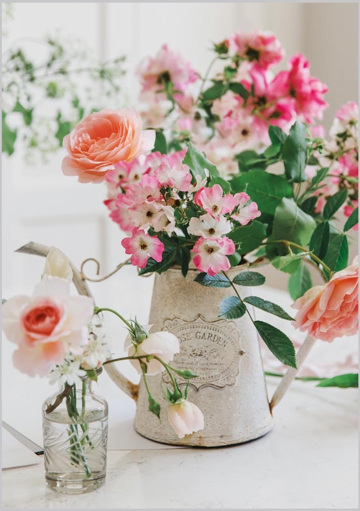 Posies & Petals: Garden Roses