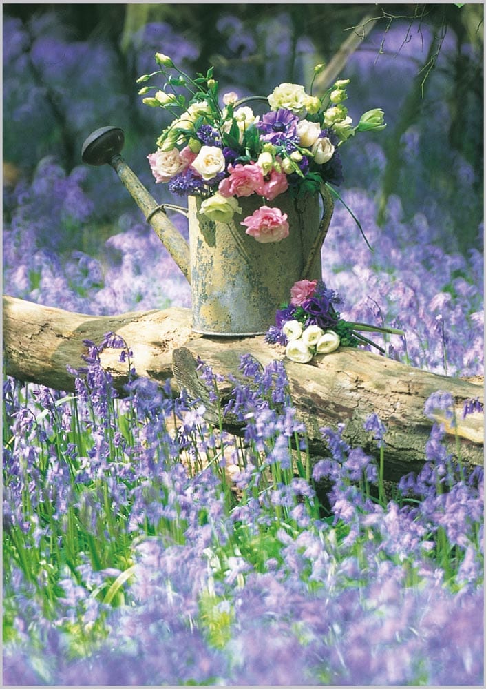 Posies & Petals: Bluebell Haze