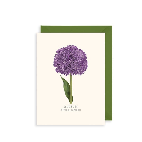 Book And Botanicals: Allium