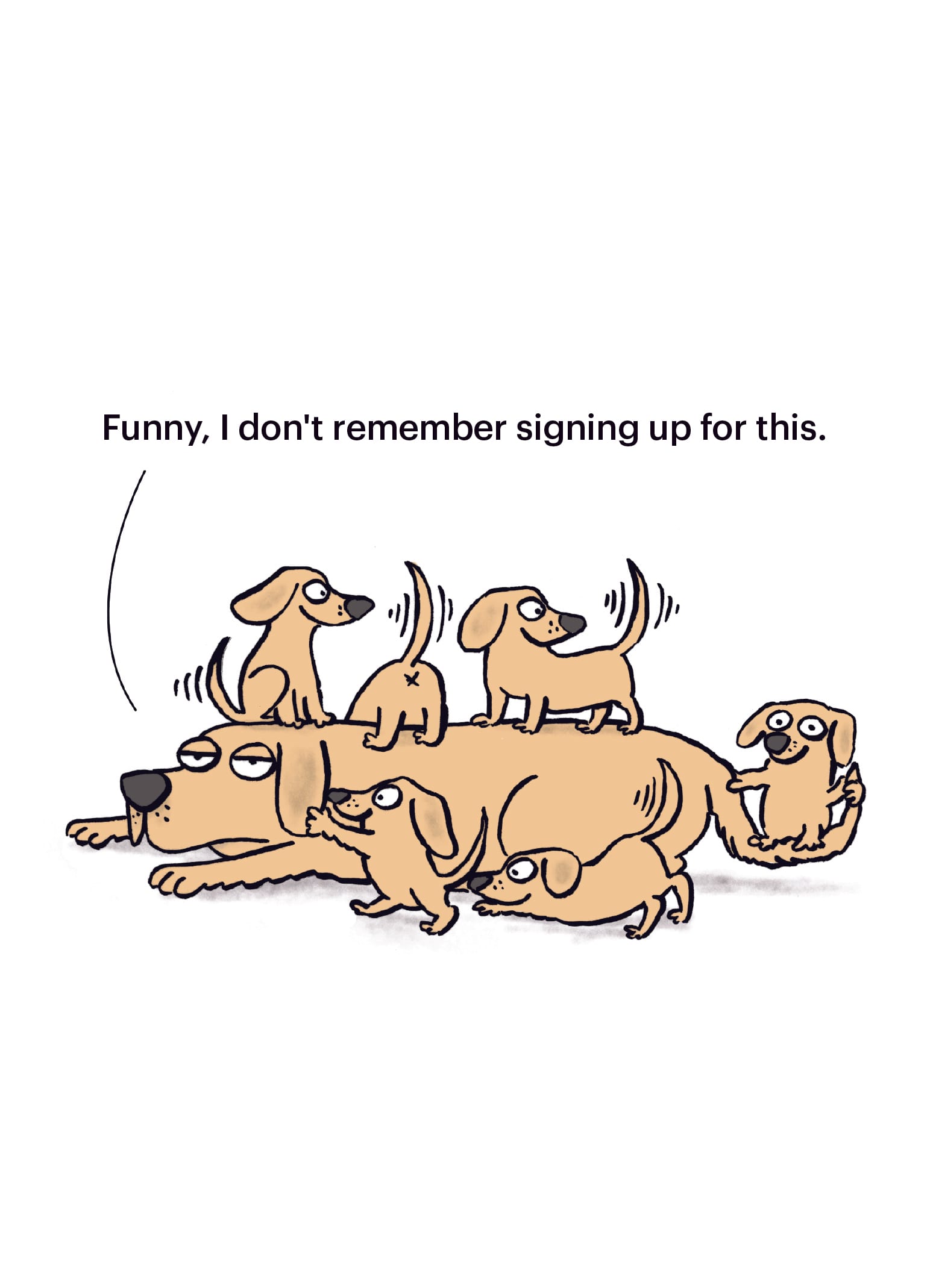 Furrly Normal: Signing Up