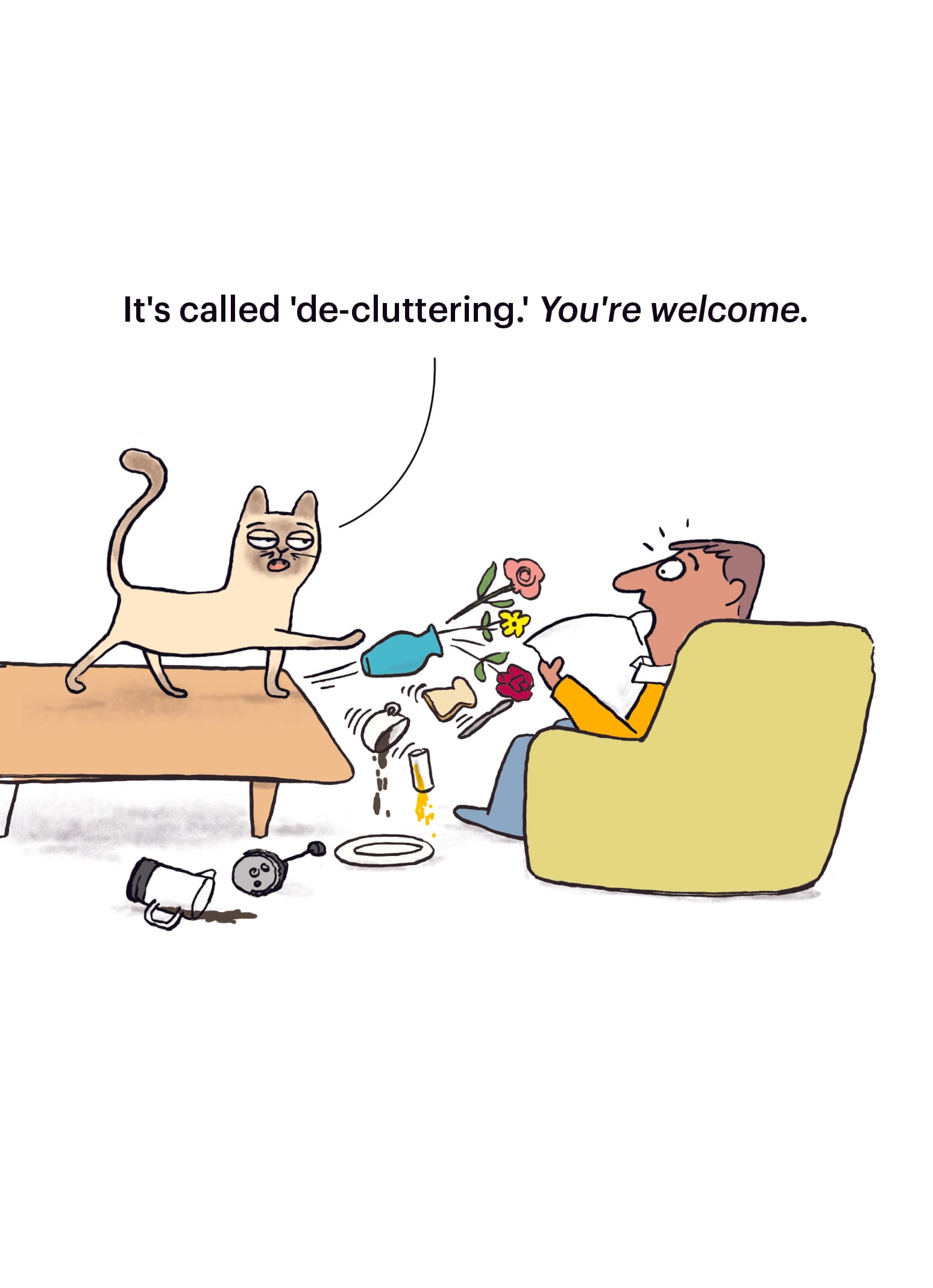 Furrly Normal: De Clutter