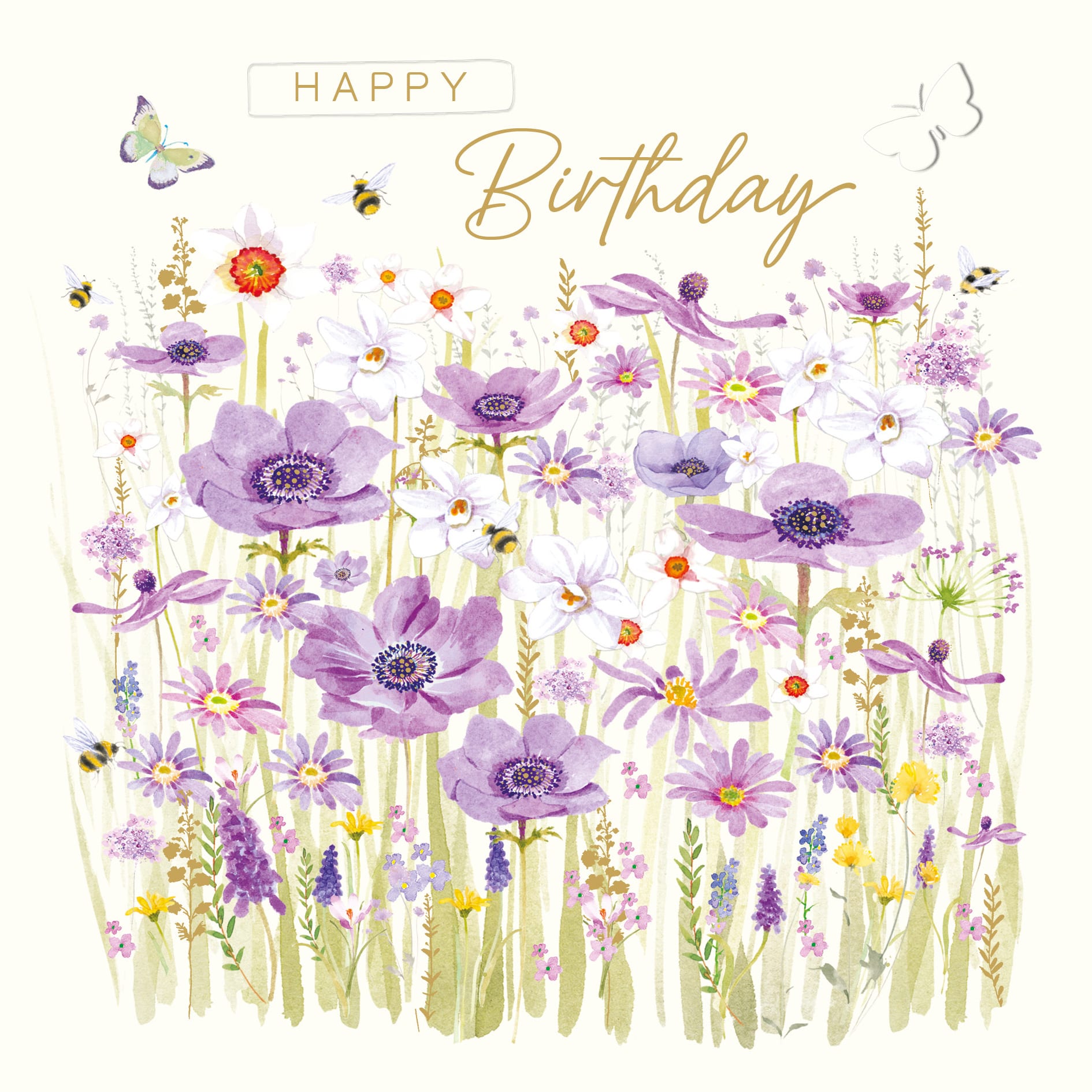 Blooming Beautiful: Purple Anemones