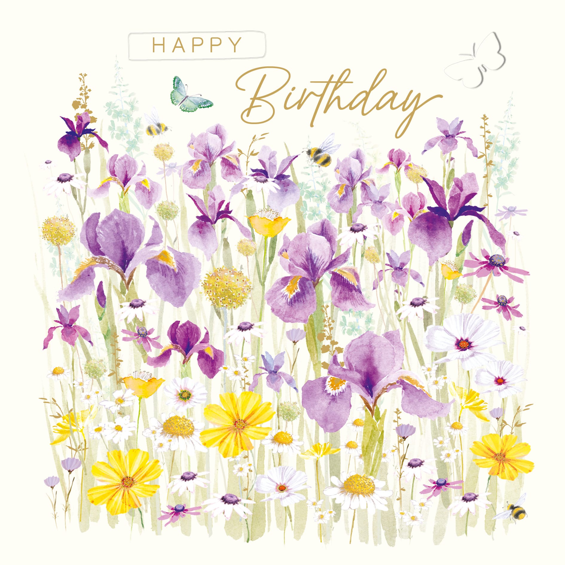 Blooming Beautiful: Purple Irises