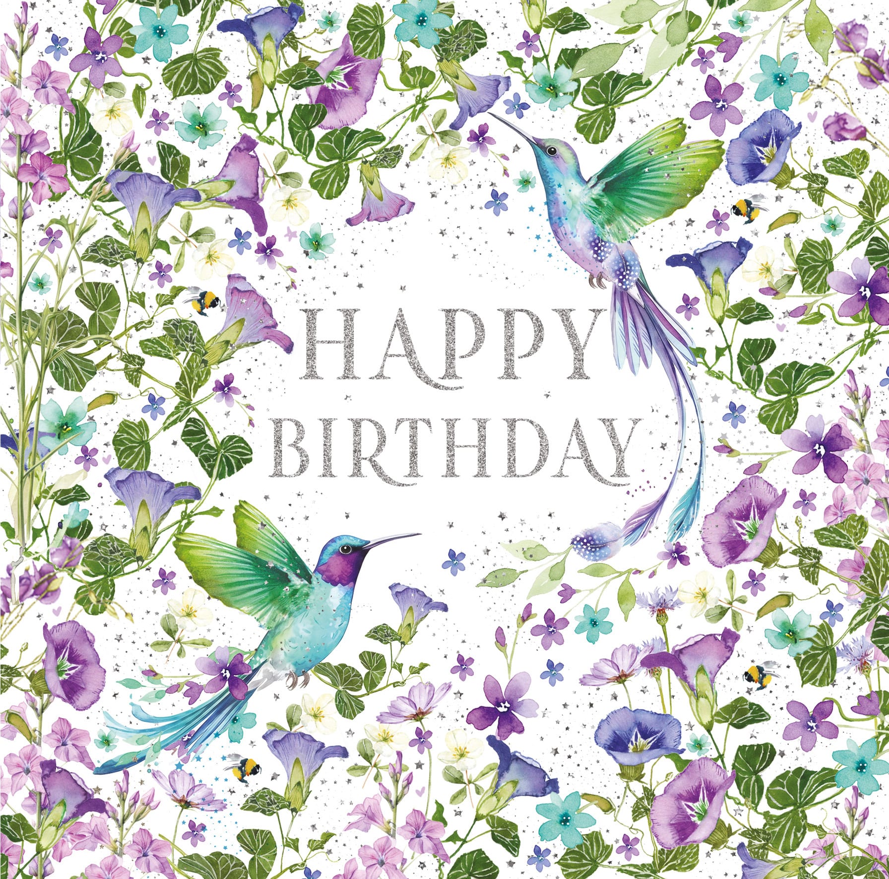 Pizazz: Bd Hummingbirds