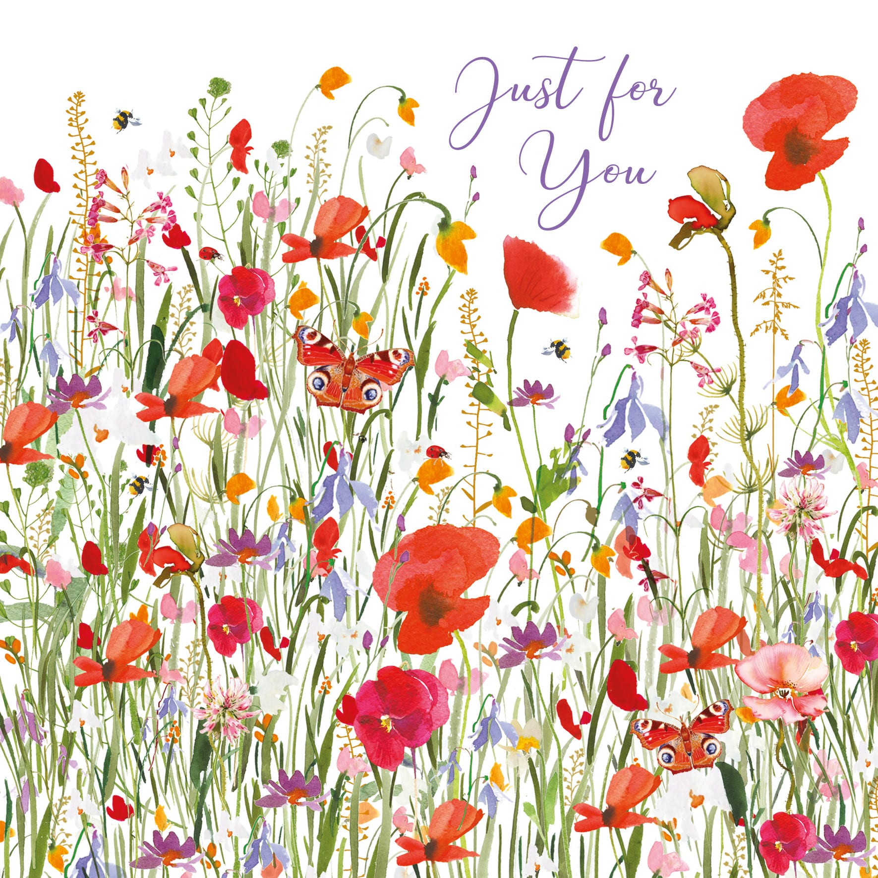 Pizazz: Wild Field