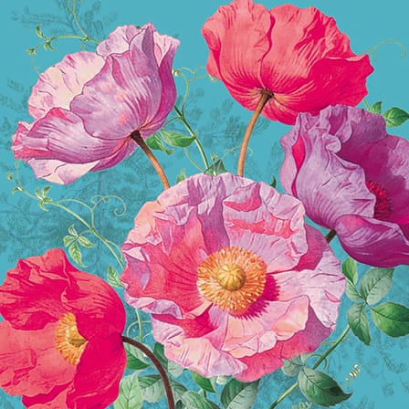 Botanist: Poppy Brights