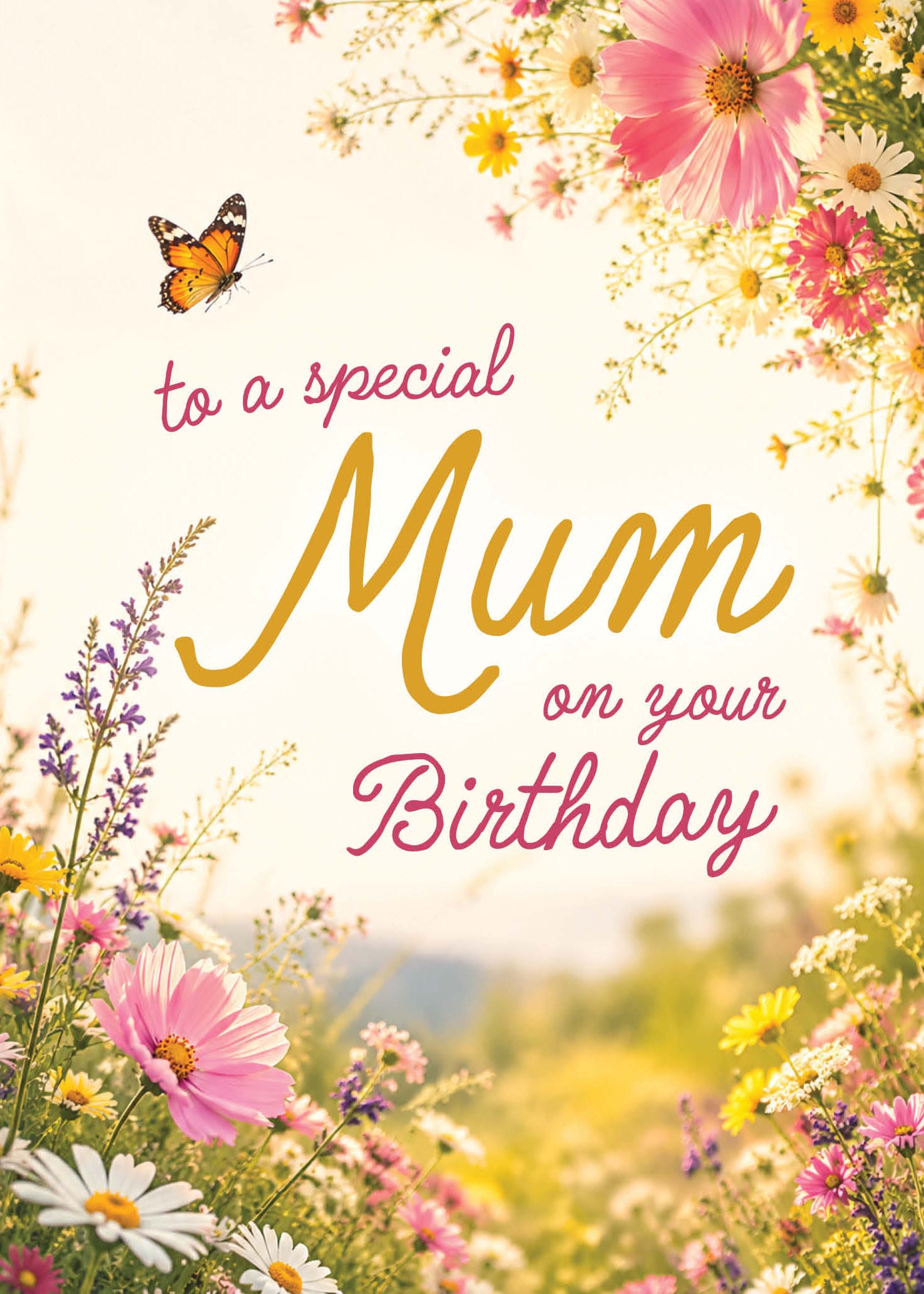 Bday Mum Flower Meadow