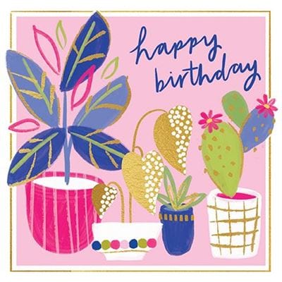 Daiquiri: Patterned Potted Plants