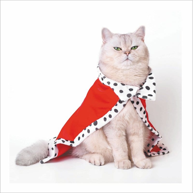 Cattitude: King Cat