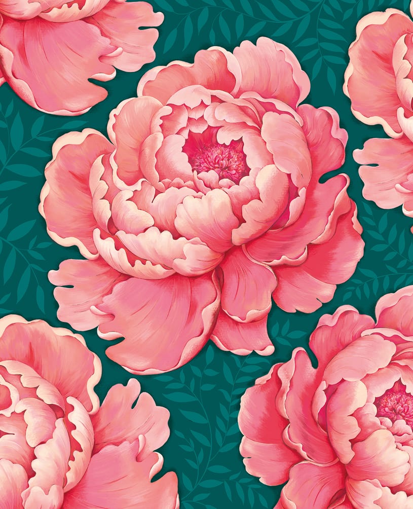 Agnes: Large Pink Flowers