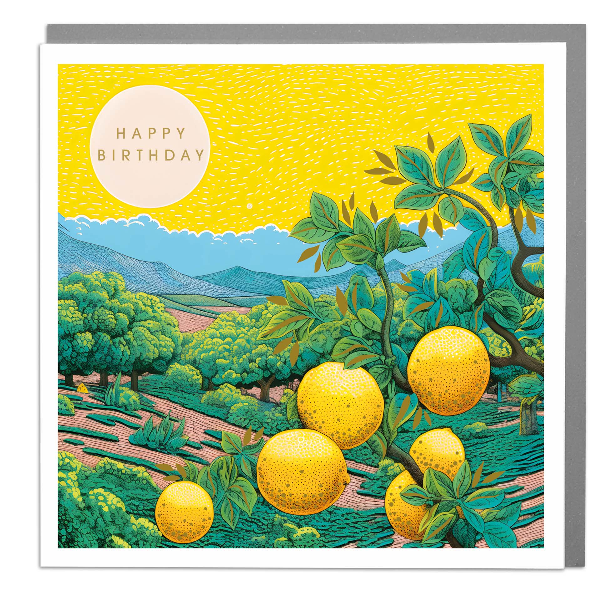 Wonder World: Lemon Grove