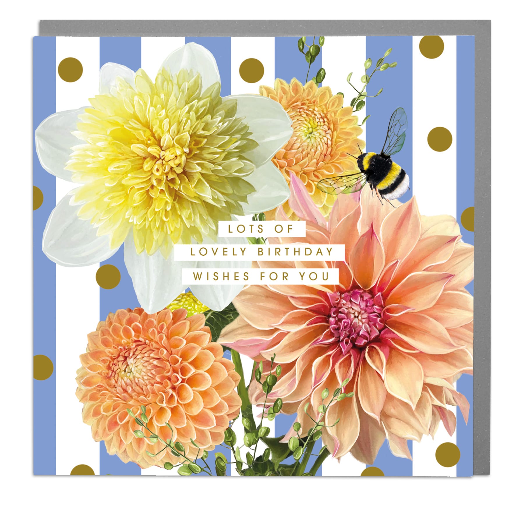 Dahlia Beach: Lots Of Birthday Wishes  Blue Stripes