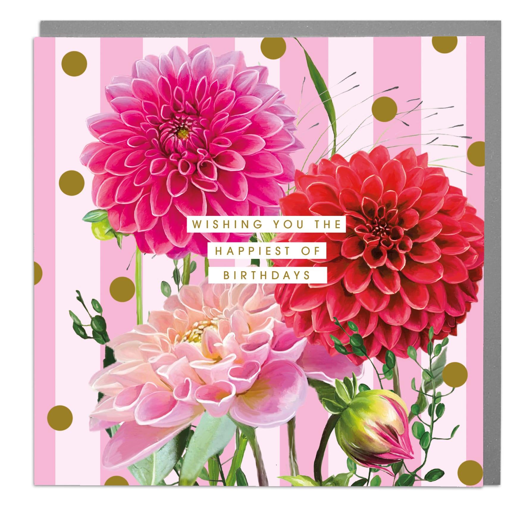 Dahlia Beach: Wishing You The Hbd  Pink Stripes