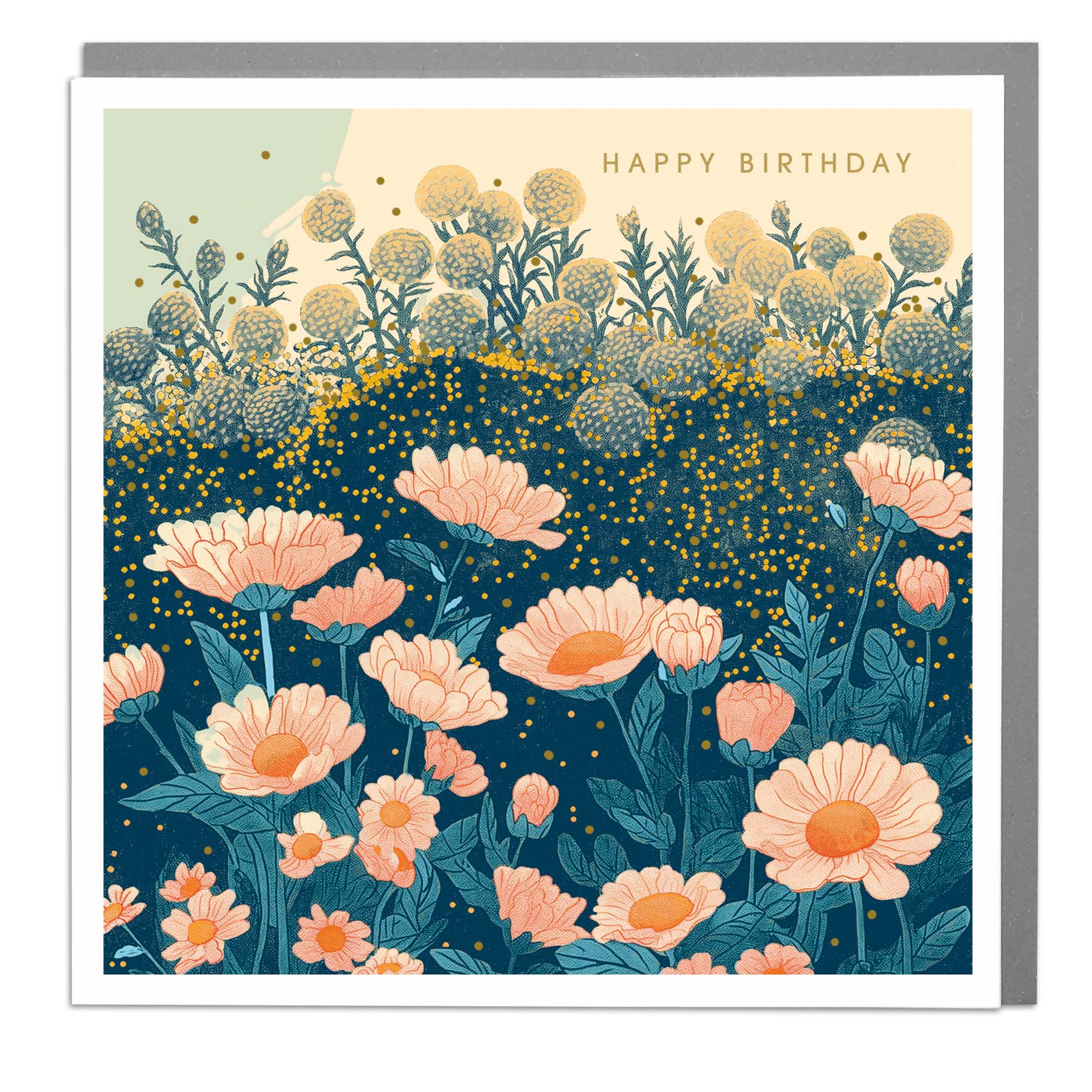 Wonder World: Daisies