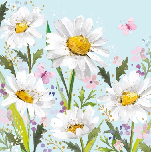 Florentina: Daisies