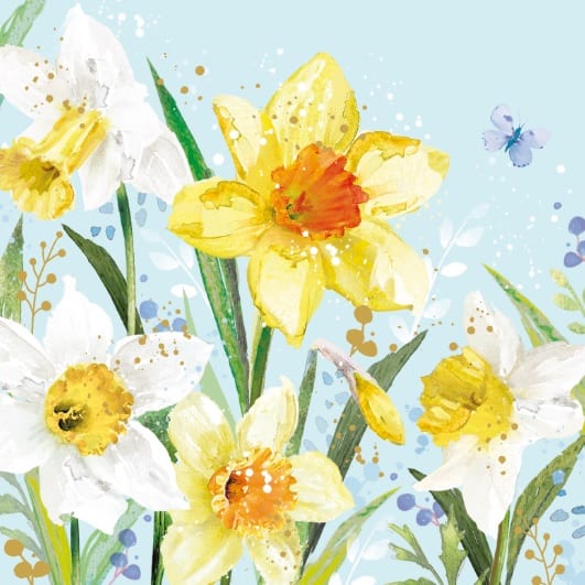 Florentina: Daffodils