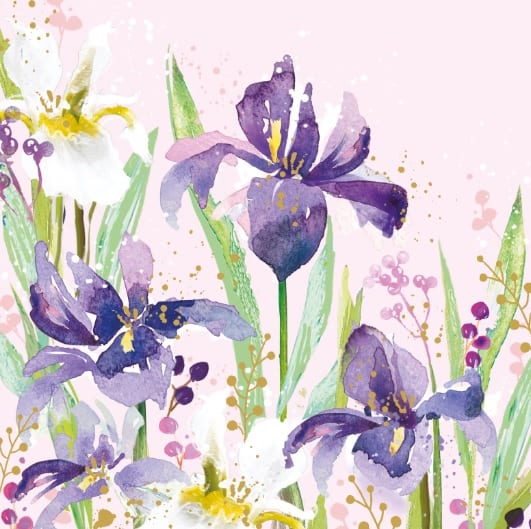 Florentina: Purple Iris